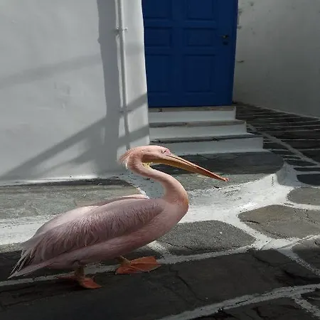 Mykonos Eterna * Psarou (Mykonos)