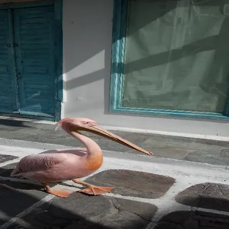 Villa Mykonos Eterna